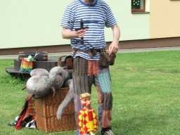 50